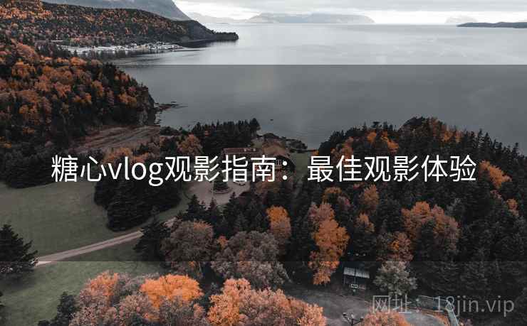 糖心vlog观影指南：最佳观影体验  第2张