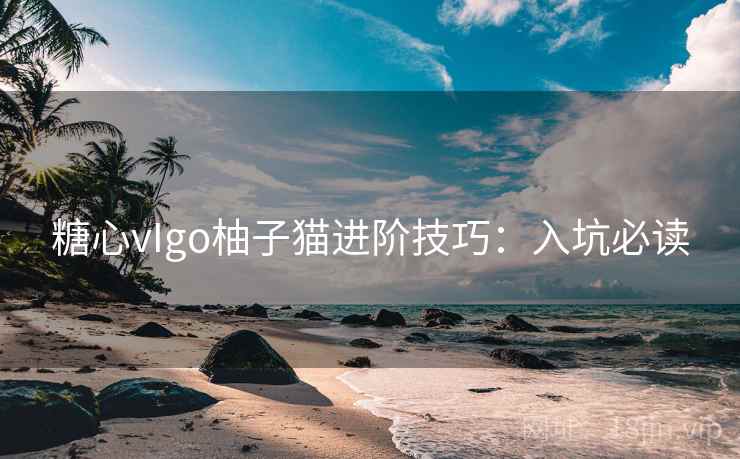 糖心vIgo柚子猫进阶技巧：入坑必读