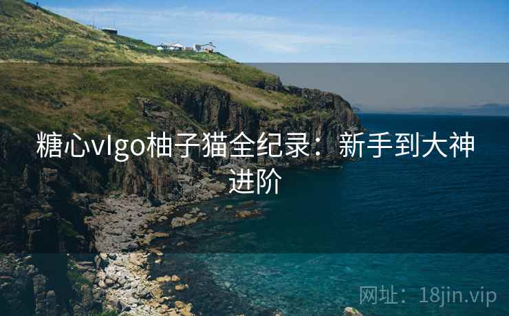 糖心vIgo柚子猫全纪录：新手到大神进阶